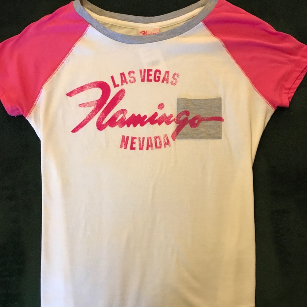 Las Vegas Flamingo Tee 🦩🦩